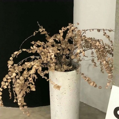 Furry插画细节设计兽圈社群